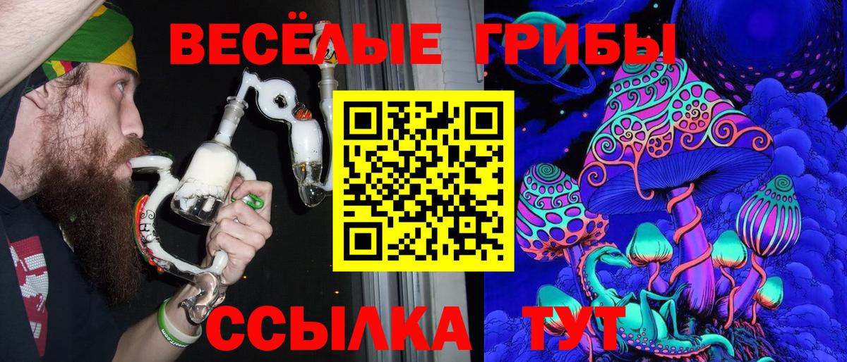 Волжск  Галлюциногенные грибы Cubensis  Псилоцибиновые грибы GOLDEN TEACHER  Вход с VPN 