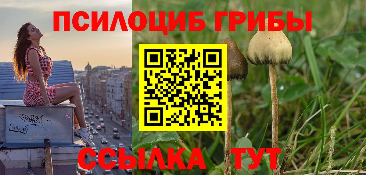Псилоцибиновые грибы мухоморы Волжск